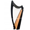 NEW 27 STRING CELTIC LEVER IRISH HARP BLACK C COLOR