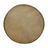 Goatskin Head for 10 Doumbek"